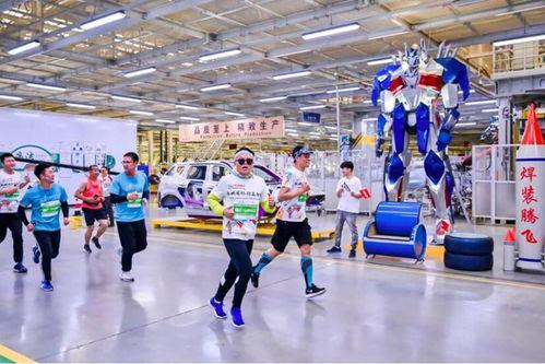 衰仔马拉松,一场充满欢笑与泪水的励志征程