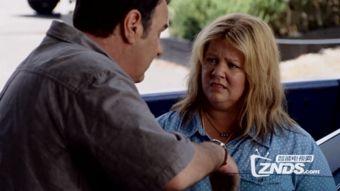 塔米的旅行,穿越五大洲的奇妙冒险