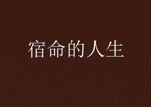宿命人生,探寻命运轨迹的奇幻旅程