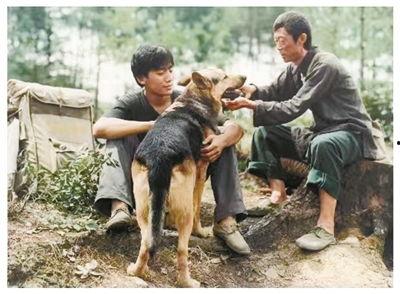 那山那人那狗,一段深山里的温情岁月
