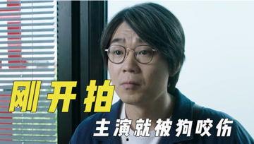 娱乐吃瓜君字幕版,揭秘娱乐圈幕后故事  第3张