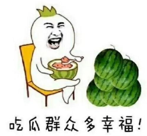 保定娱乐圈吃瓜系统  第3张