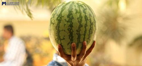 娱乐圈的瓜哪里吃  第3张